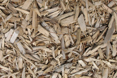 biomass boilers Bardsea